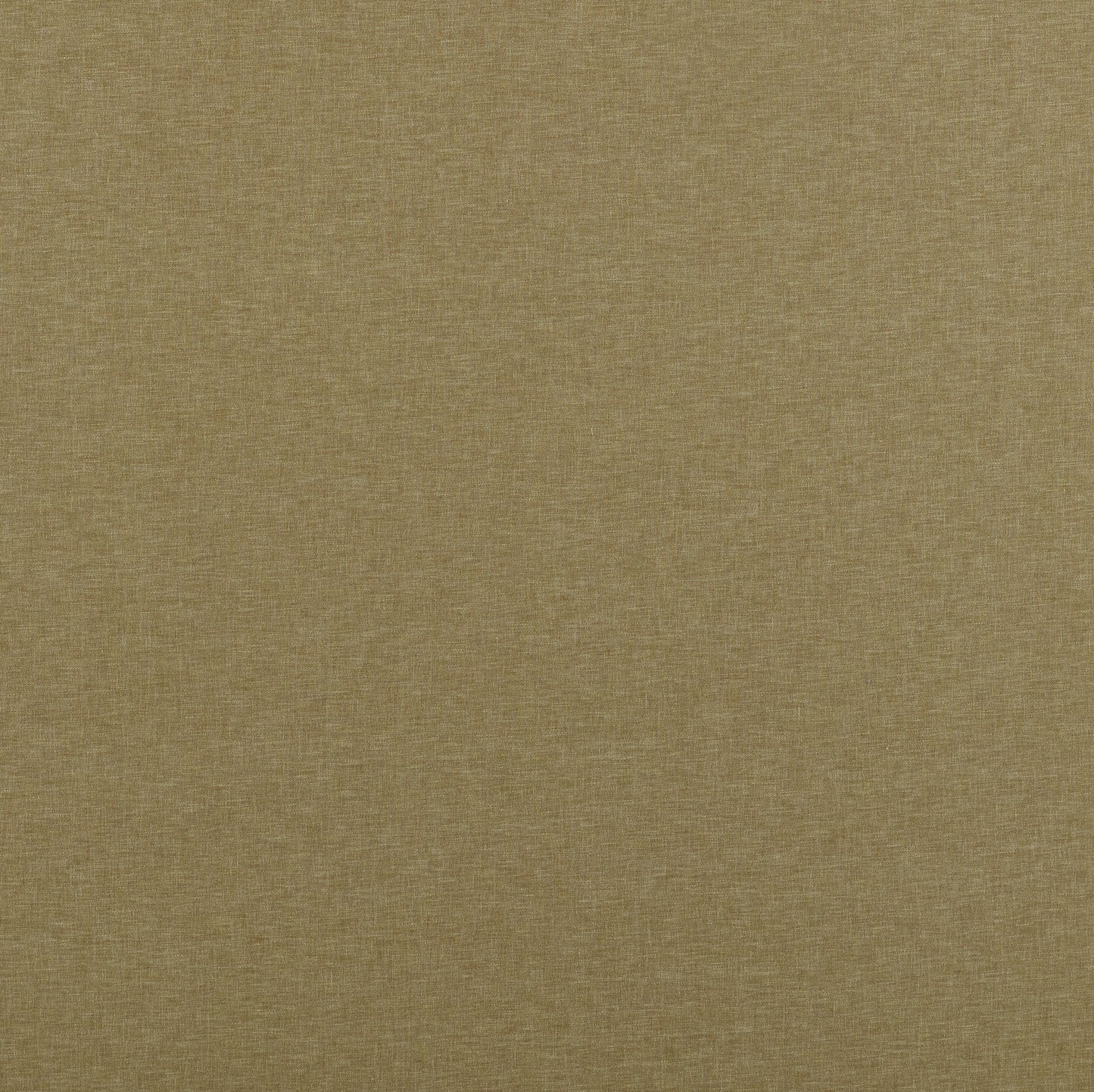 Ashley Wilde Norma Maize