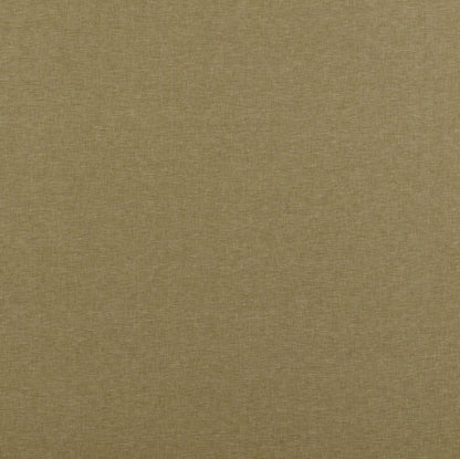 Ashley Wilde Norma Maize