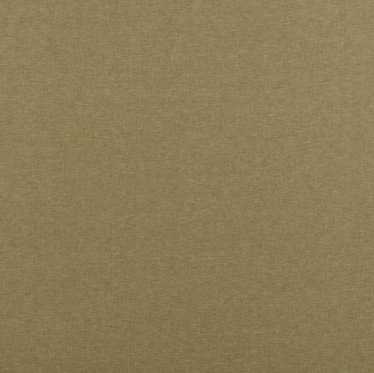 Ashley Wilde Norma Maize