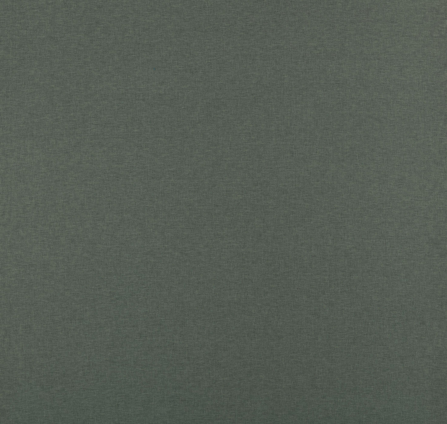 Ashley Wilde Norma Olive