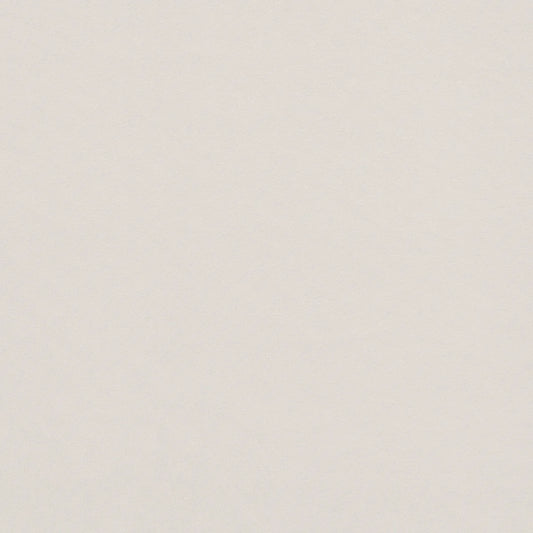 iLiv Otter Parchment