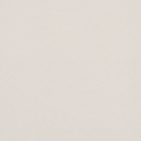 iLiv Otter Parchment