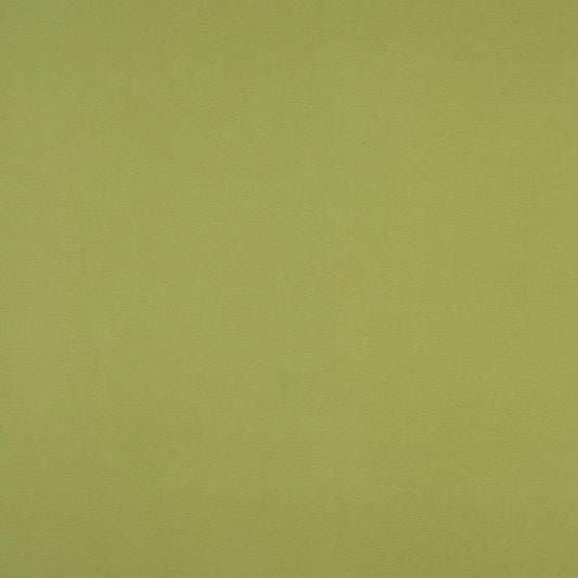 Fryetts Panama Pampas