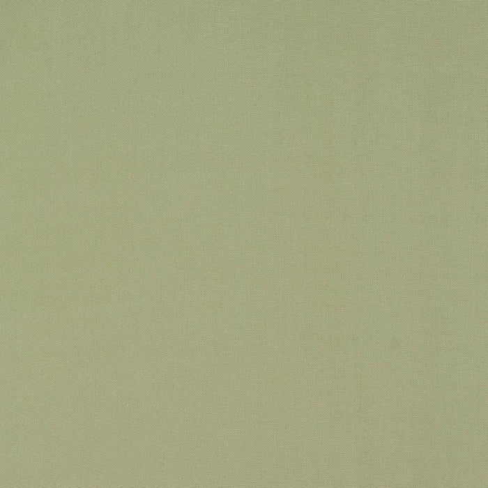 Fryetts Panama Sage