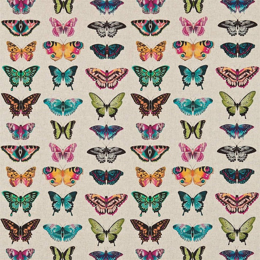 Harlequin Papilio Flamingo/ Papaya/ Loganberry 2.4 metre piece