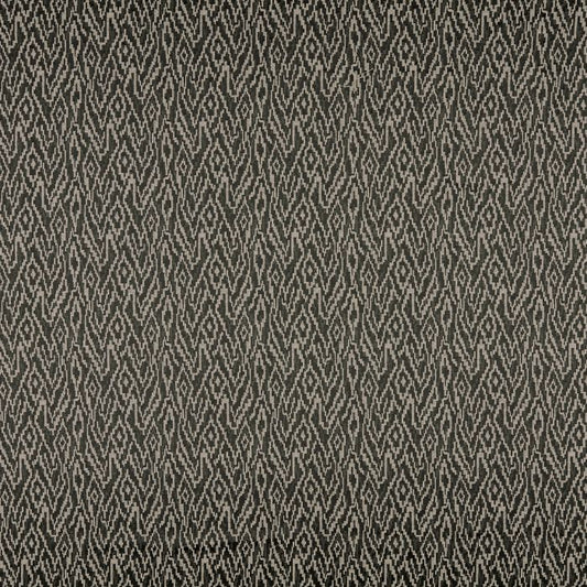 Ashley Wilde Pashley Evergreen