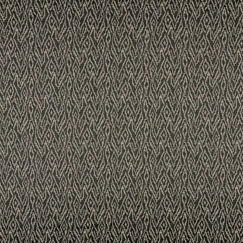 Ashley Wilde Pashley Evergreen