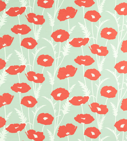 Scion Poppy Pop Sage / Poppy