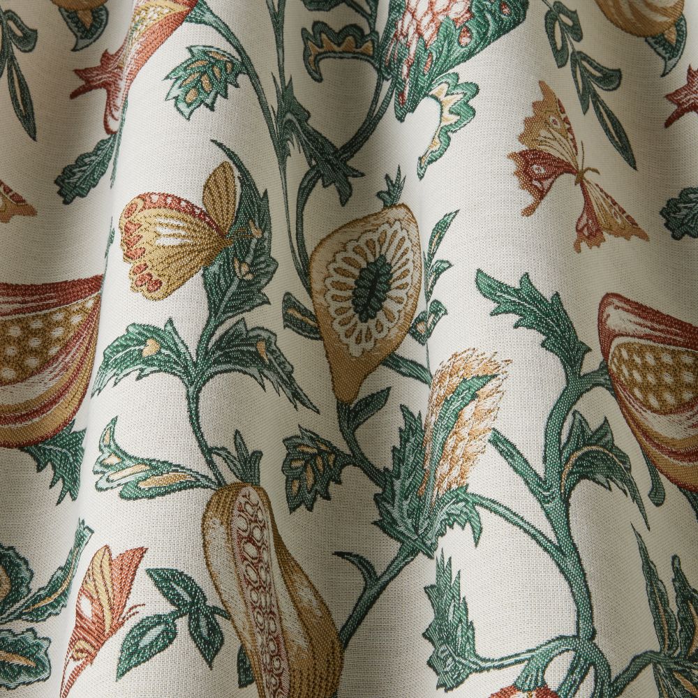 iLiv Primavera Papaya