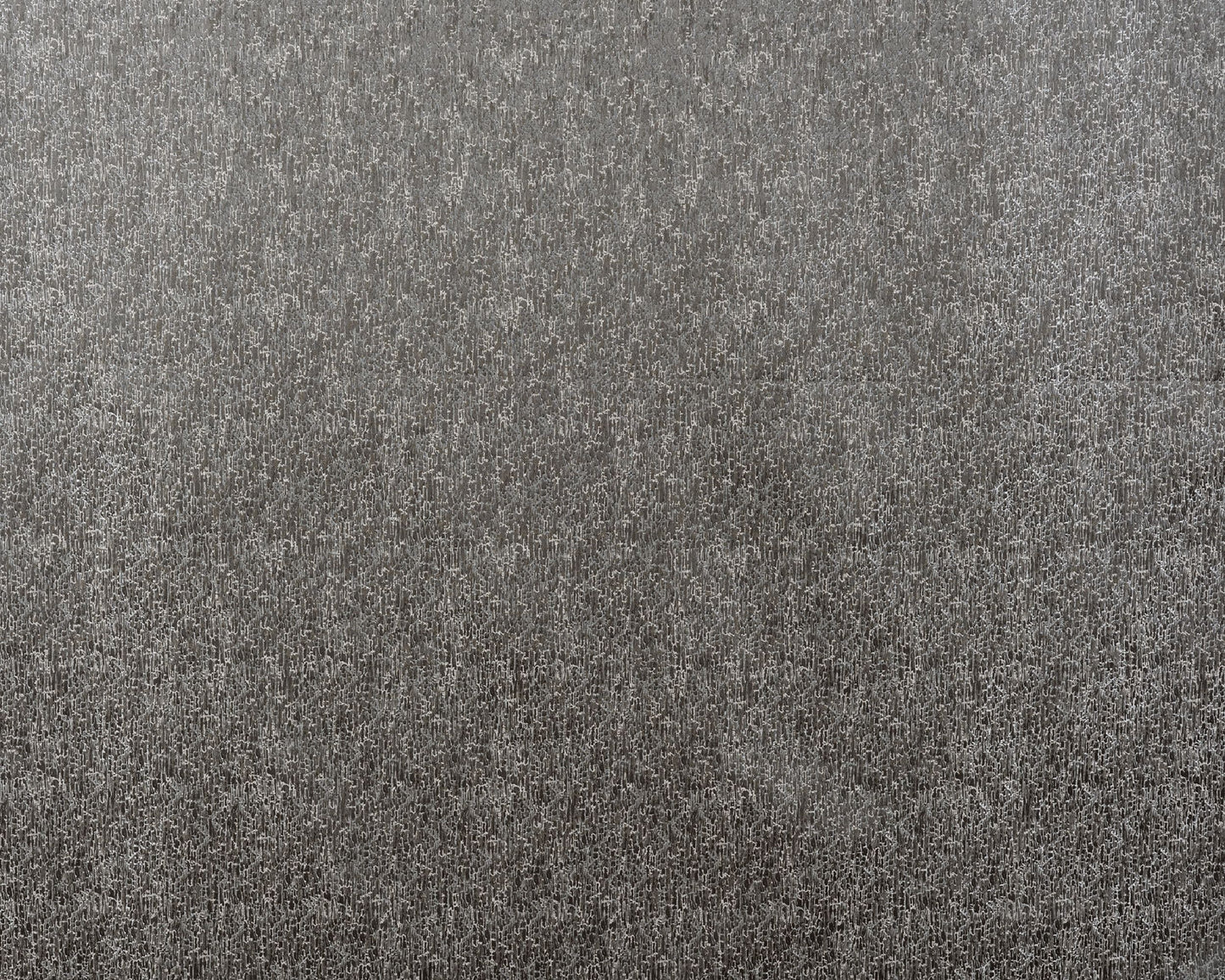 Ashley Wilde Rion Slate