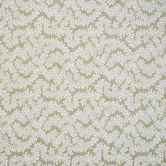 iLiv Rivora Willow