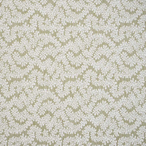 iLiv Rivora Willow