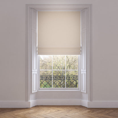Warner House Ambrogio Marble