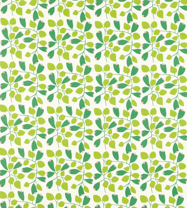 Scion Rosehip Mint Leaf / Zest