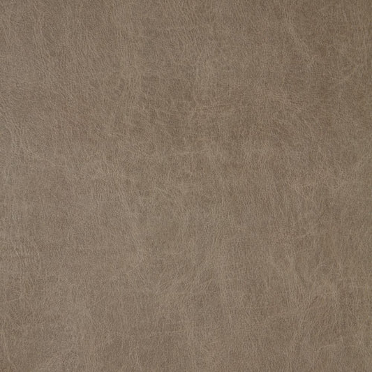 iLiv Saddle PVC Mole