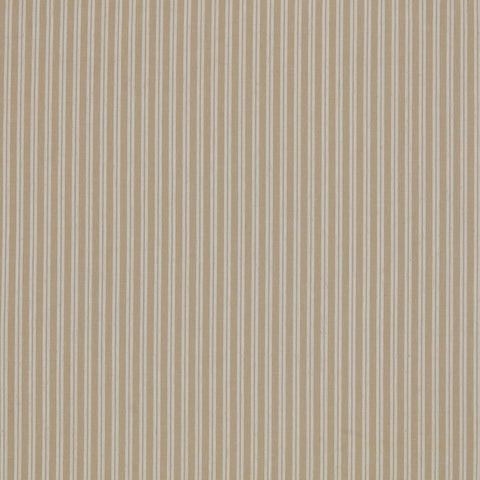Ashley Wilde Saffie Sesame