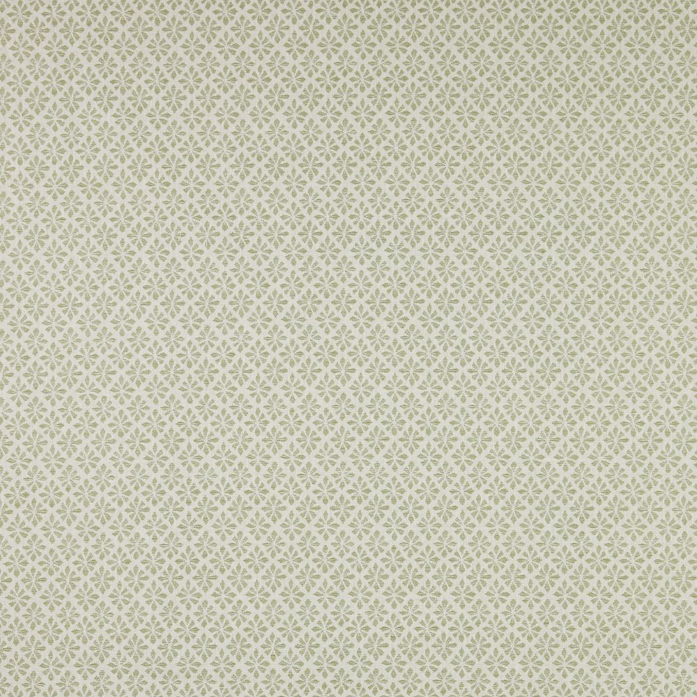 iLiv Samphire Fennel