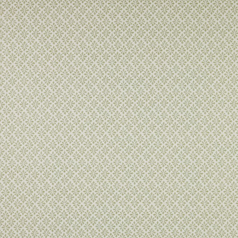 iLiv Samphire Fennel