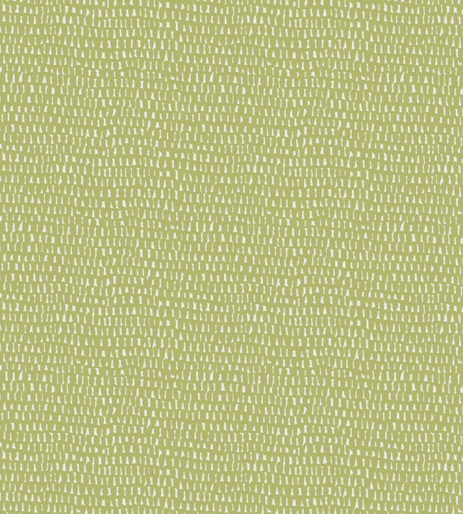 Scion Totak Matcha