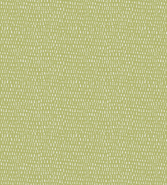 Scion Totak Matcha