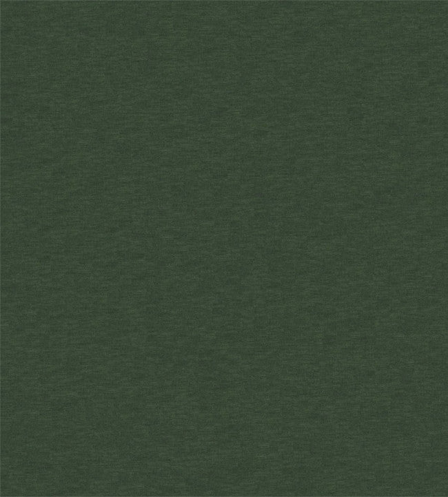 Scion Esala Plains Evergreen