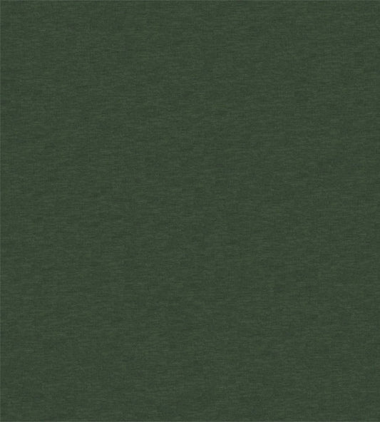 Scion Esala Plains Evergreen