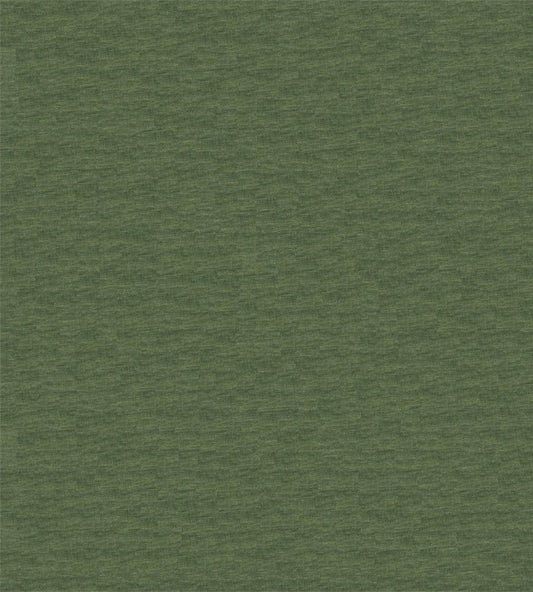 Scion Esala Plains Juniper