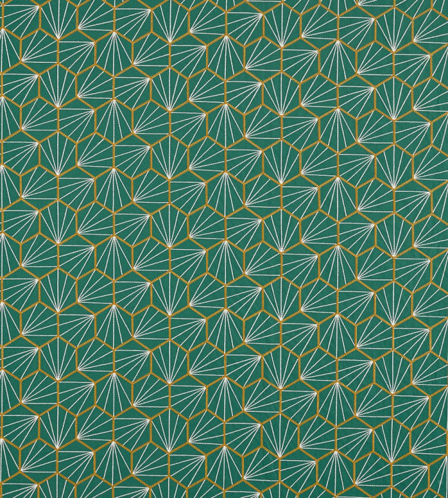 Scion Aikyo Forest