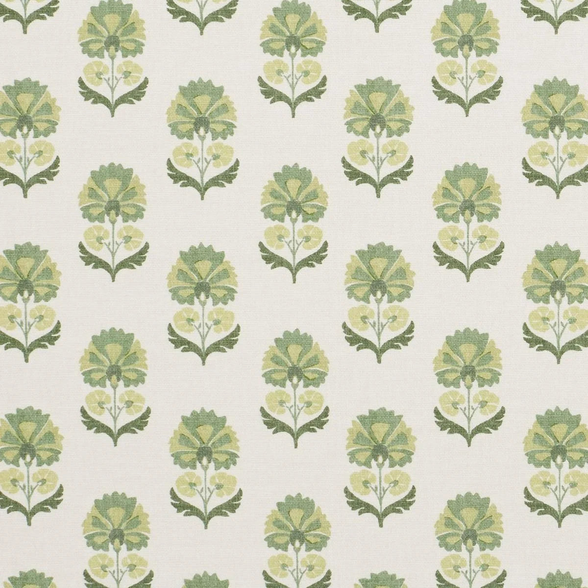 iLiv Shani Eucalyptus