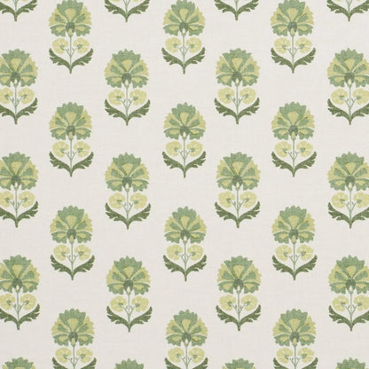 iLiv Shani Eucalyptus