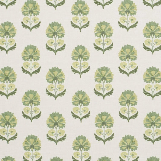 iLiv Shani Eucalyptus