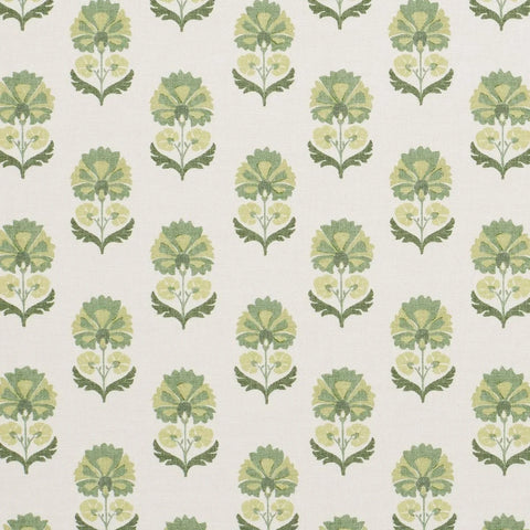 iLiv Shani Eucalyptus