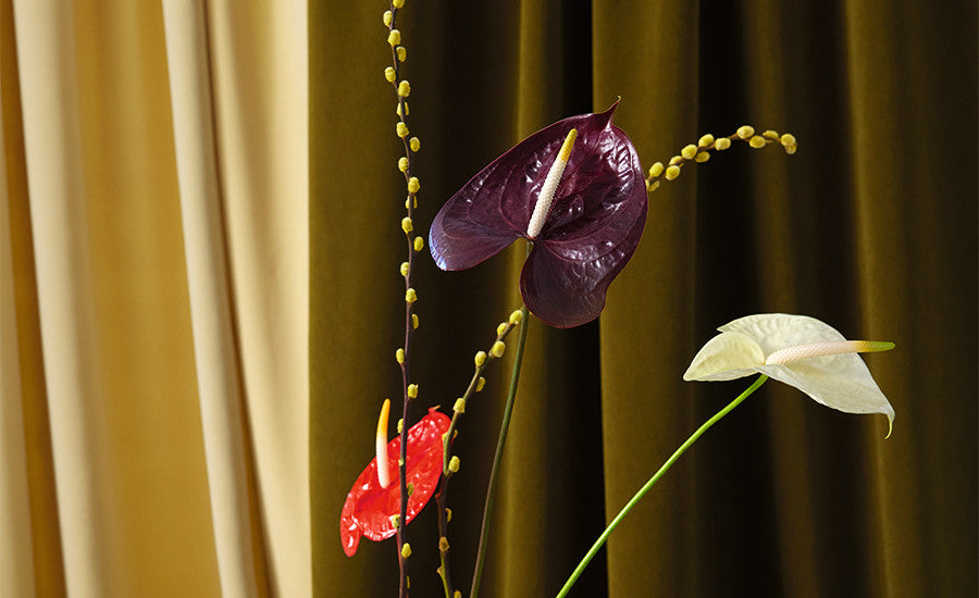 Kirkby Design Smooth Shell