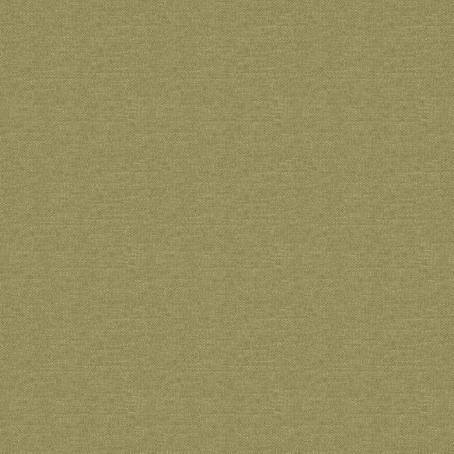 Warwick Splash-Eco Celery