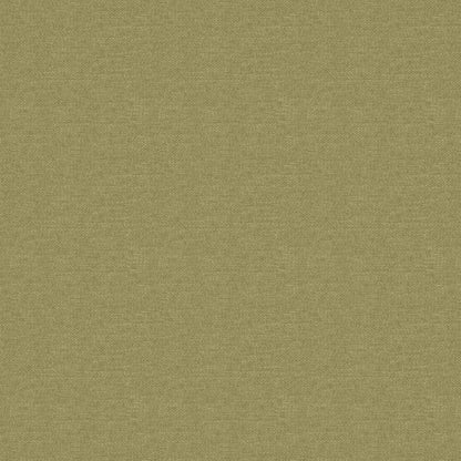 Warwick Splash-Eco Celery