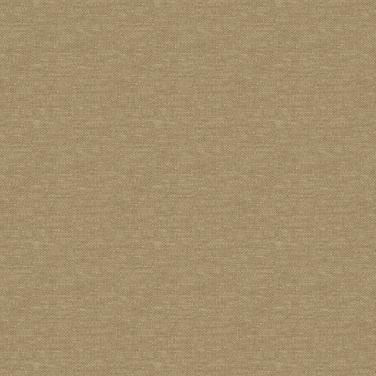 Warwick Splash-Eco Maize