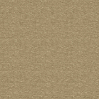 Warwick Splash-Eco Maize