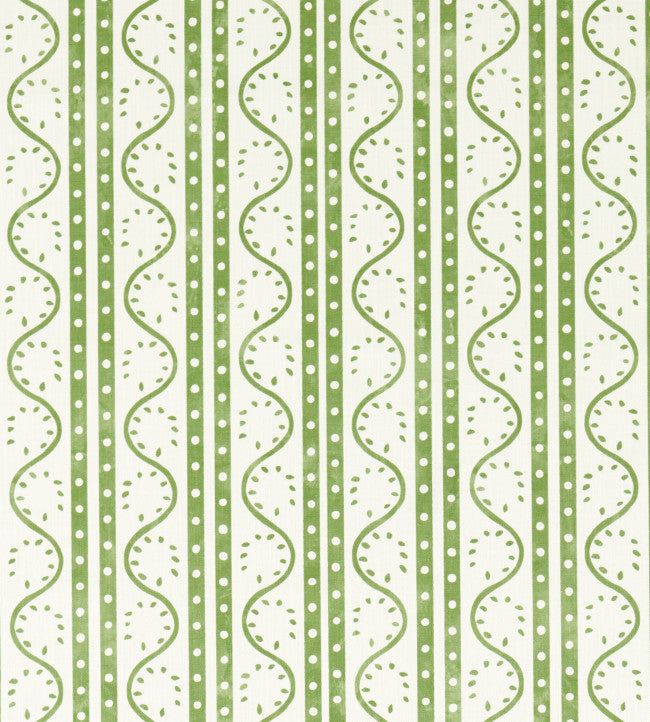Scion Split Pea Pine