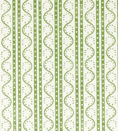 Scion Split Pea Pine