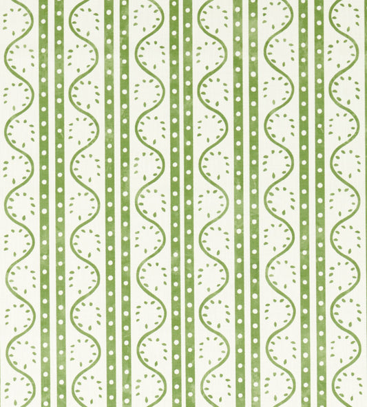 Scion Split Pea Pine
