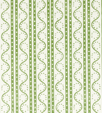 Scion Split Pea Pine