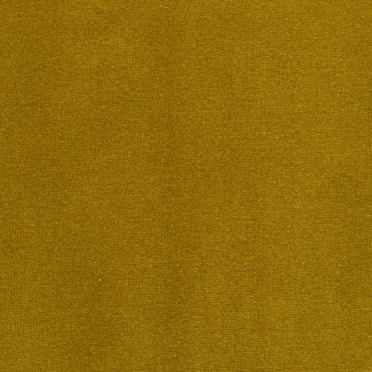 iLiv Studio Velvet Lichen
