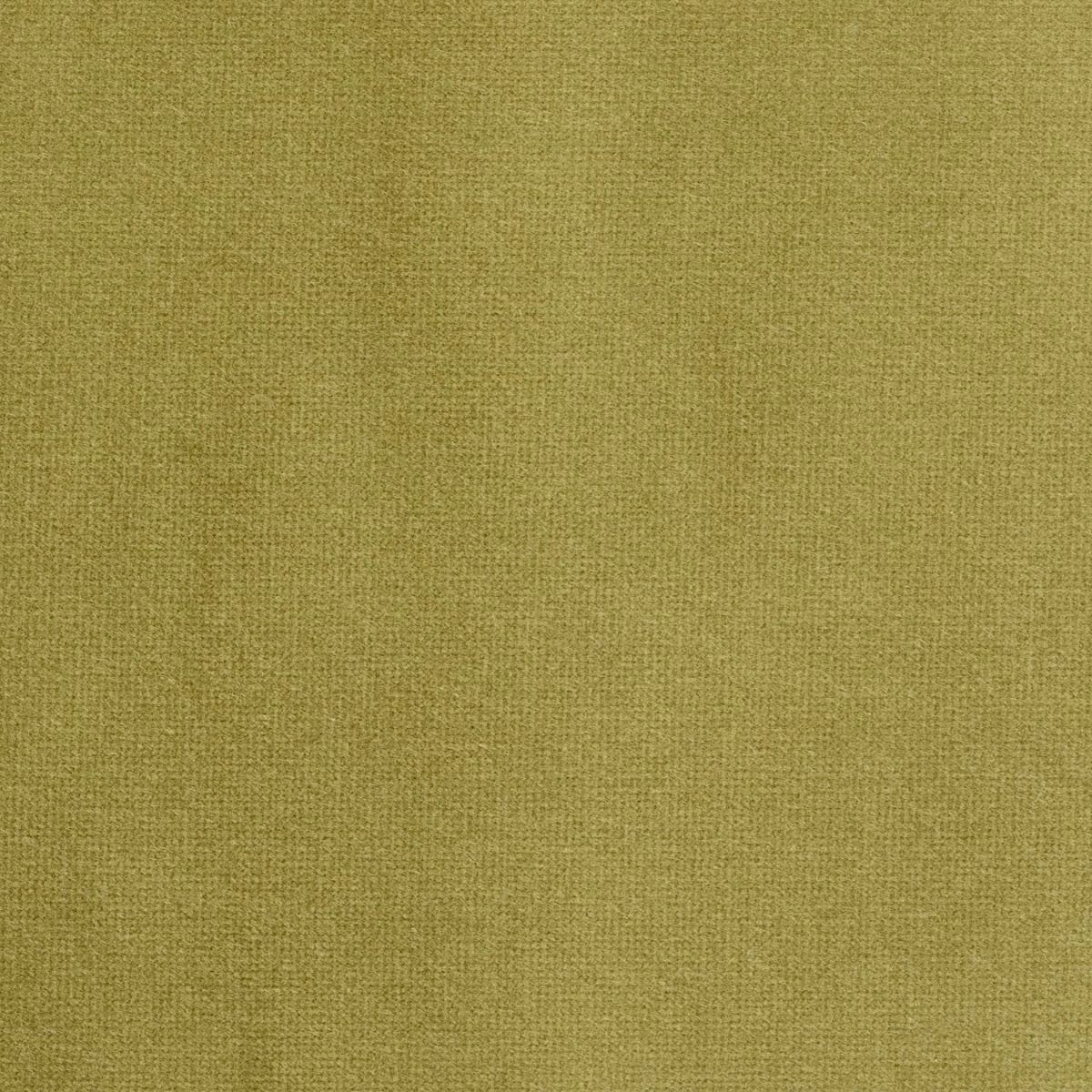 iLiv Studio Velvet Olive