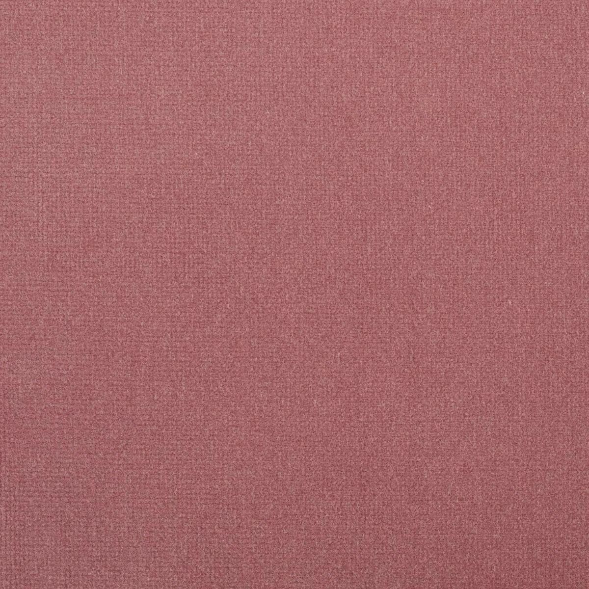 iLiv Studio Velvet Petal