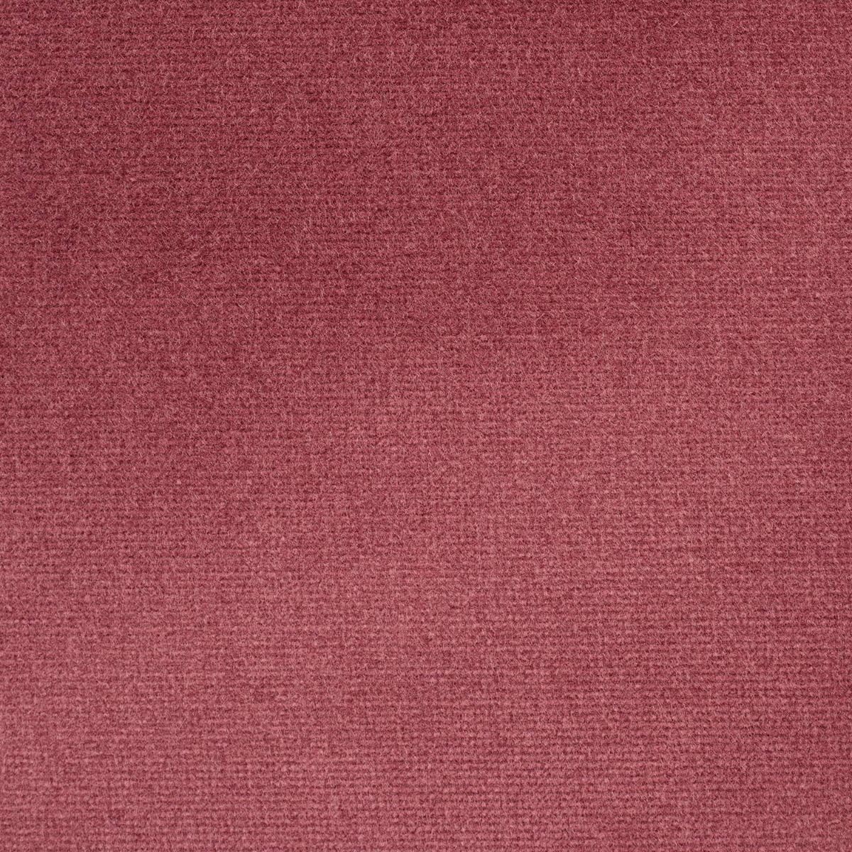 iLiv Studio Velvet Tulip