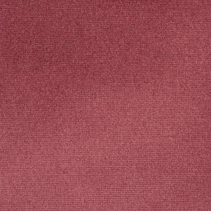 iLiv Studio Velvet Tulip