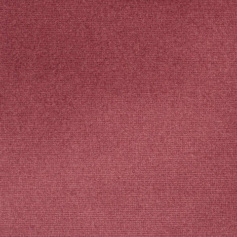 iLiv Studio Velvet Tulip