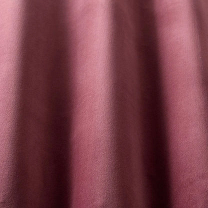 iLiv Studio Velvet Tulip