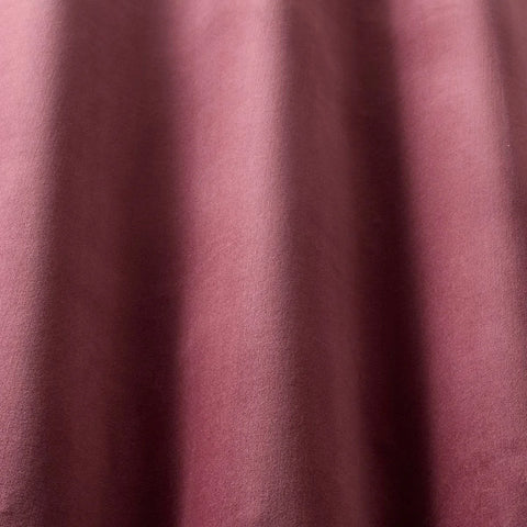 iLiv Studio Velvet Tulip