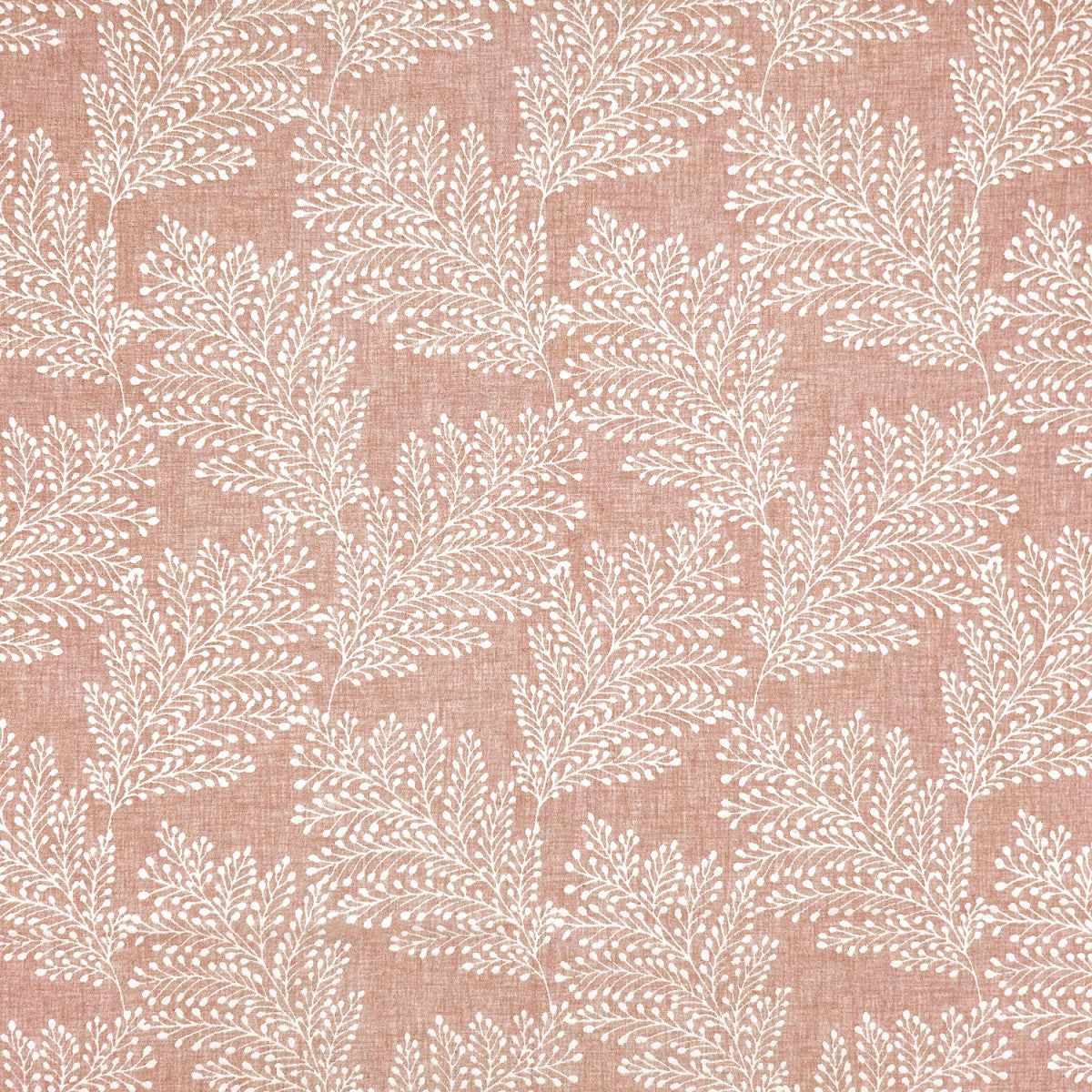 Chatham Glyn Kensington Blush